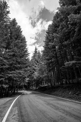 strada di montagna in bianco e nero 