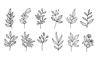 Obraz premium Set of modern floral line art elements.Hand draw botanical.