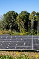 ソーラーパネルによる太陽光発電