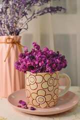 Violets in cup of tea. Purple flowers. spring concept and background