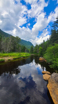 Rivi&egrave;re de for&ecirc;t dans le Parc de la Jacque Cartier, Qu&eacute;bec, Canada. 
