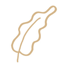 oak leaf in minimalist boho and vintage hand drawn illustration for design element.