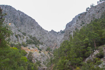 Beautiful mountain landscape with pine trees on the slopes against the sky.
