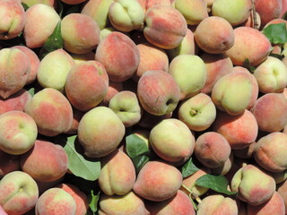 Fresh Peaches 6