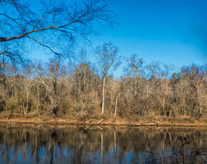 Fototapeta na wymiar Chattahoochee River scene in Atlanta, Georgia