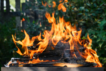 Brazier with burning wood in nature close-up.  Flames in brazier. Preparing to cook food on fire