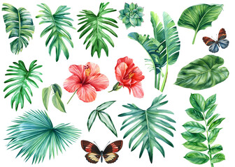 Tropical watercolor exotic jungle plants. Palm leaves, red hibiscus flowers and color butterflies
