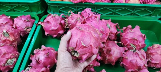 dragon fruit held by hand
