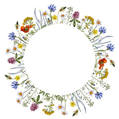 Floral wreath with meadow wildflowers, wild herbs, red clover, chamomile, buttercup, poppy for botanical, delicate, rustic, boho style projects, wedding invitations, textiles, menus, greeting cards