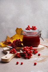 A glass jar with viburnum fruit jam and ripe red viburnum berries on gray background, autumn preserves concept.