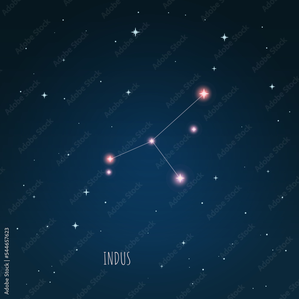 Canvas Prints constellation indus scheme in starry sky. open space. vector illustration indus constellation in ope