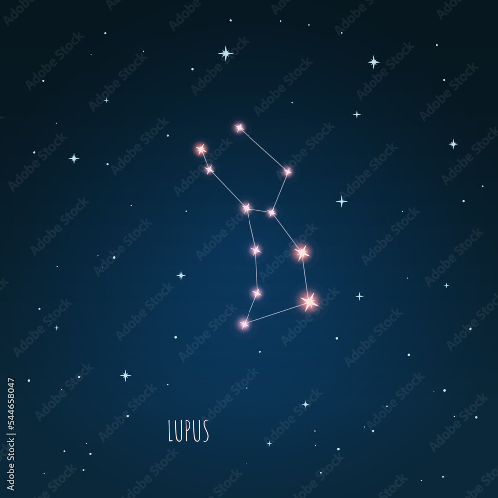 Canvas Prints constellation lupus scheme in starry sky. open space. vector illustration lupus constellation in ope
