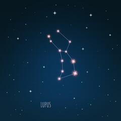 Constellation Lupus scheme in starry sky. Open space. Vector illustration Lupus constellation in open space through a telescope © iryna