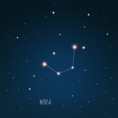 Vector illustration of constellation Mensa on the background of a starry sky and tree branches. Constellation scheme collection © iryna