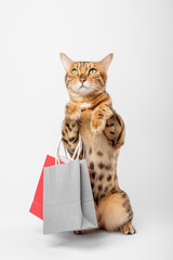 Funny ginger cat holds paper bags with purchases on a white background.