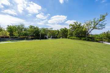 Fototapeta premium grass in city park