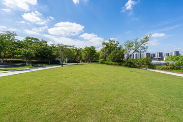 Obraz premium grass in city park