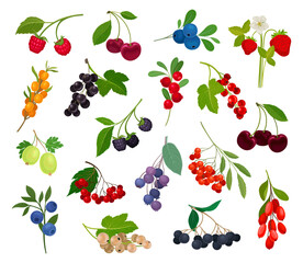 Ripe and Juicy Garden Berry Twig and Branches with Hanging Fruit Big Vector Set