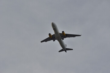Fototapeta na wymiar Avión volando con el tren de aterrizaje bajado y un cielo nublado