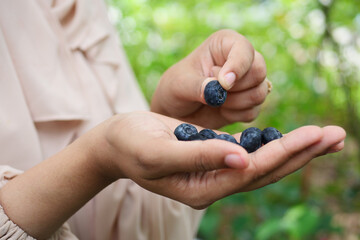 women eating blue berry fruit outdoor 
