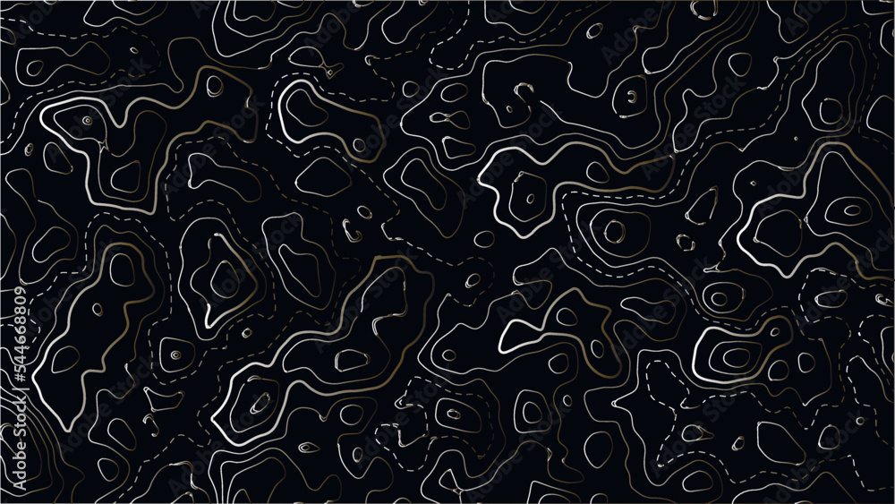 Poster topographic map background. grid map. background of the topographic map. abstract vector illustratio