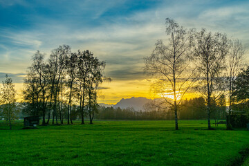 Sonnenuntergang im Rheintal, mit Baum auf der Wiese und Felder, Bäumen und Schweizer Bergen im...