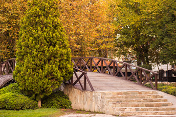 Fototapeta Pedestrian bridge in the use of pedestrians in the park obraz