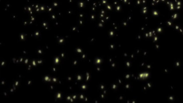 abstract animated particles. fireworks. the background. Golden particles.