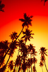 Vivid tropical sunset with coconut palm trees silhouettes and shining sun