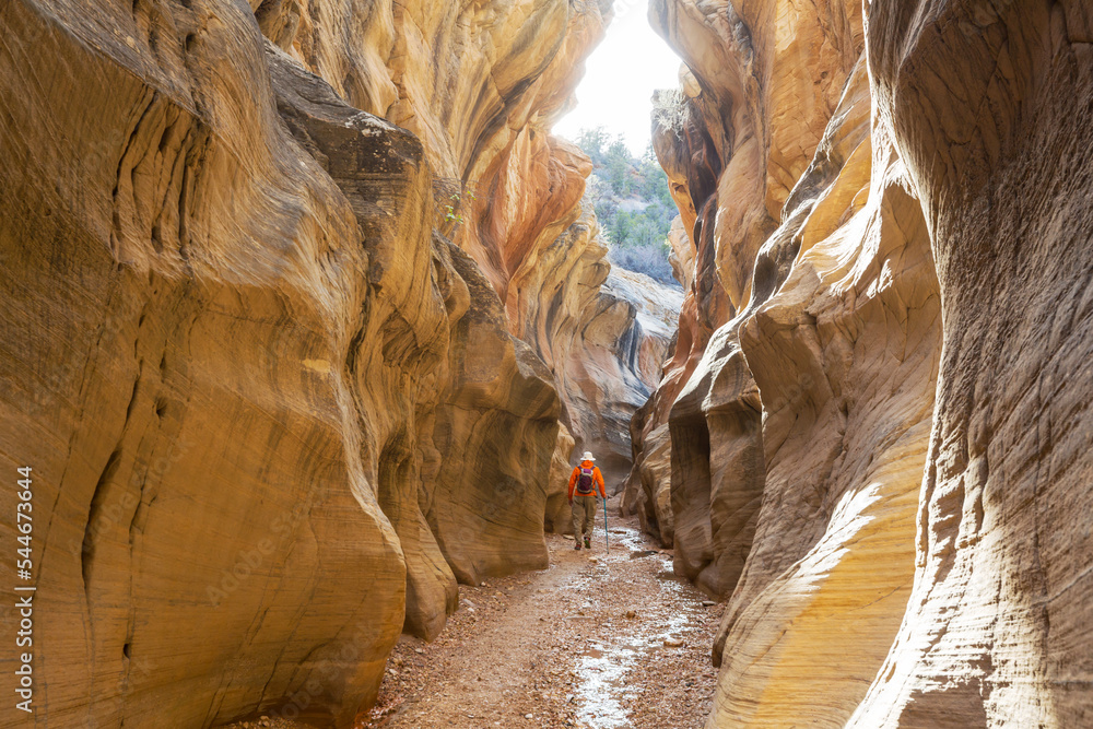 Canvas Prints Slot canyon