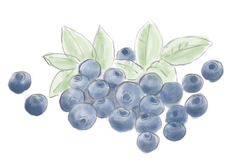 水彩のブルーベリー01_3