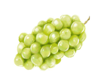 水彩のマスカット01_1