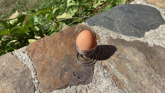 Oeuf &agrave; la coque dans un coquetier