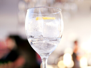 Gin and tonic cocktail. Selective focus.
