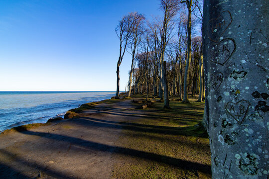 Gespensterwald Nienhagen