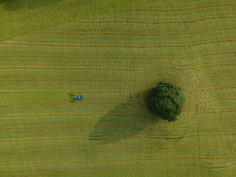 A drone shot of a tractor turning grass, Malham, UK