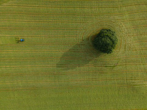A drone shot of a tractor turning grass, Malham, UK