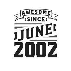 Awesome Since June 2002. Born in June 2002 Retro Vintage Birthday