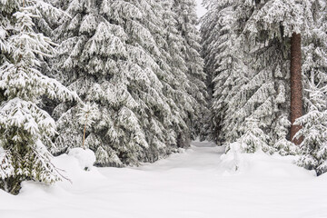 Landschaft im Winter im Thüringer Wald in der Nähe von Schmiedefeld am Rennsteig