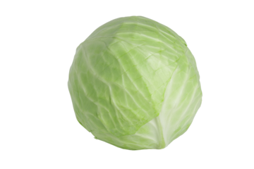 Green round cabbage isolated on white background. Close up of cabbagehead.