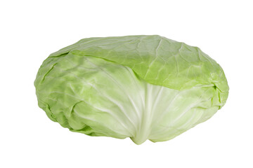 Flat or Taiwanese cabbage cabbage isolated on white background. Close up of cabbagehead. - obrazy, fototapety, plakaty