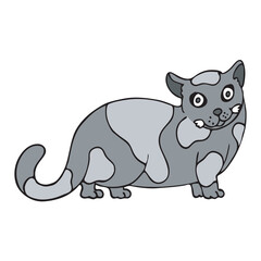 gray cat with big spots