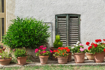 Fototapeta na wymiar Windows and doors in an old house decorated with flower