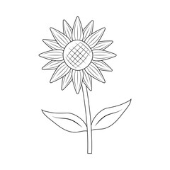 Vector isolated one sunflower with leaf colorless black and white contour line drawing