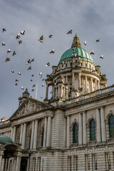 Pigeons flying around Belfast City Hall at sunset. Town center, Belfast, Northern Ireland. 