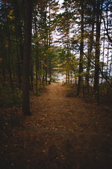 Obraz premium Bon Echo Provincial Park in Ontario, Canada. A spectacular landmark in North America alongside Mazinaw Lake. Autumn leaves and fall colors late in the season making for a beautiful landscape.