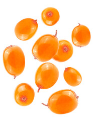 Falling fresh sea buckthorn berries isolated on a white background, macro.