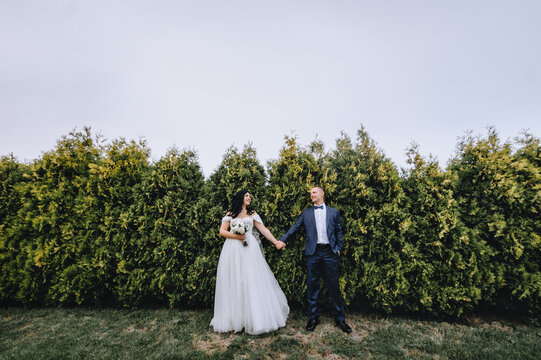 A stylish groom in a blue suit and a beautiful bride in a white long dress are standing in a park, garden near green thujas, cypress. Wedding photography, portrait.