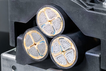 Cross-section of Electrical power cable