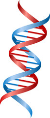 Dna strands icon